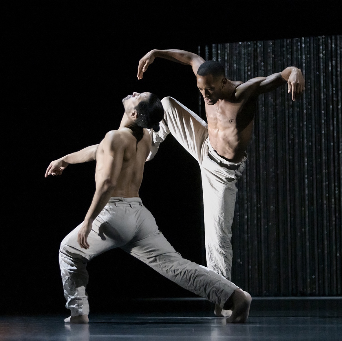 Nederlands Dans Theater is dance in extremis | overview